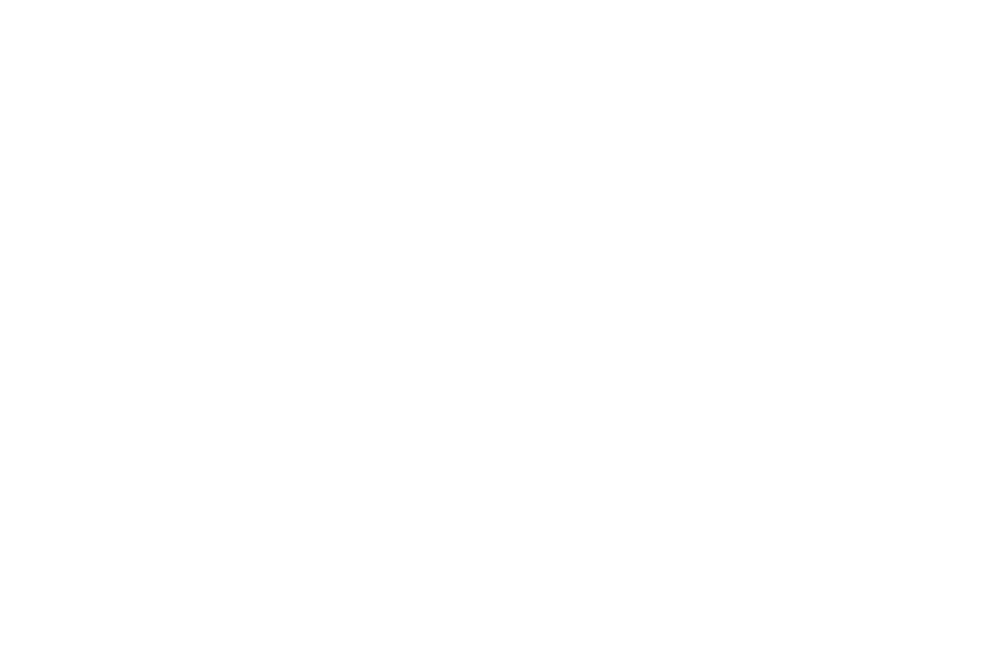 Sõbra Pesa